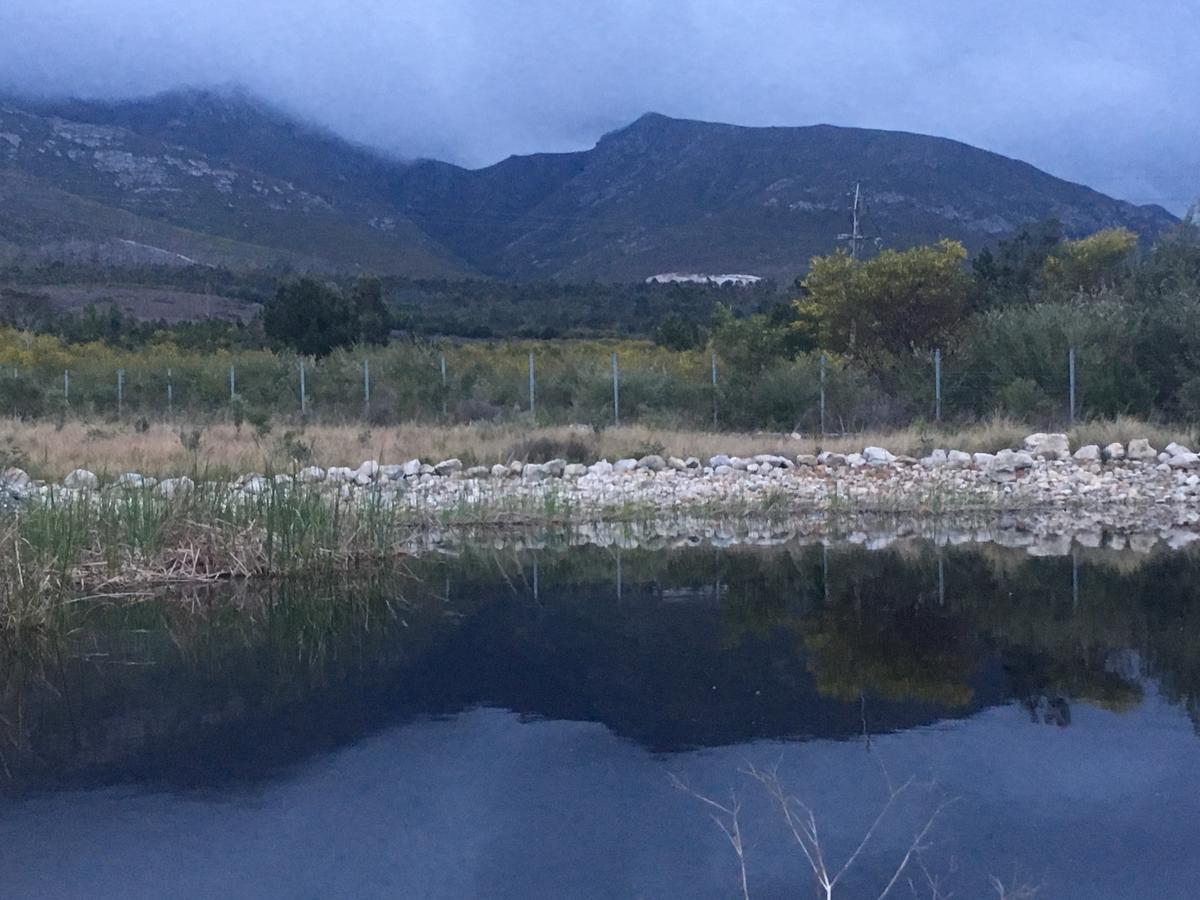 Misty Mountains Villa Hermanus Eksteriør bilde